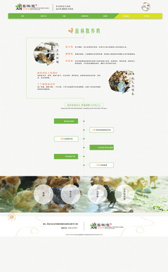 返林散養(yǎng)雞網(wǎng)頁(yè)設(shè)計(jì)效果圖